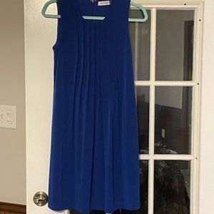 Calvin Klein Blue Dress